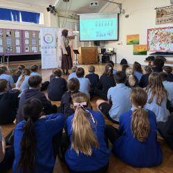 Life of a chick pea  web.jpg